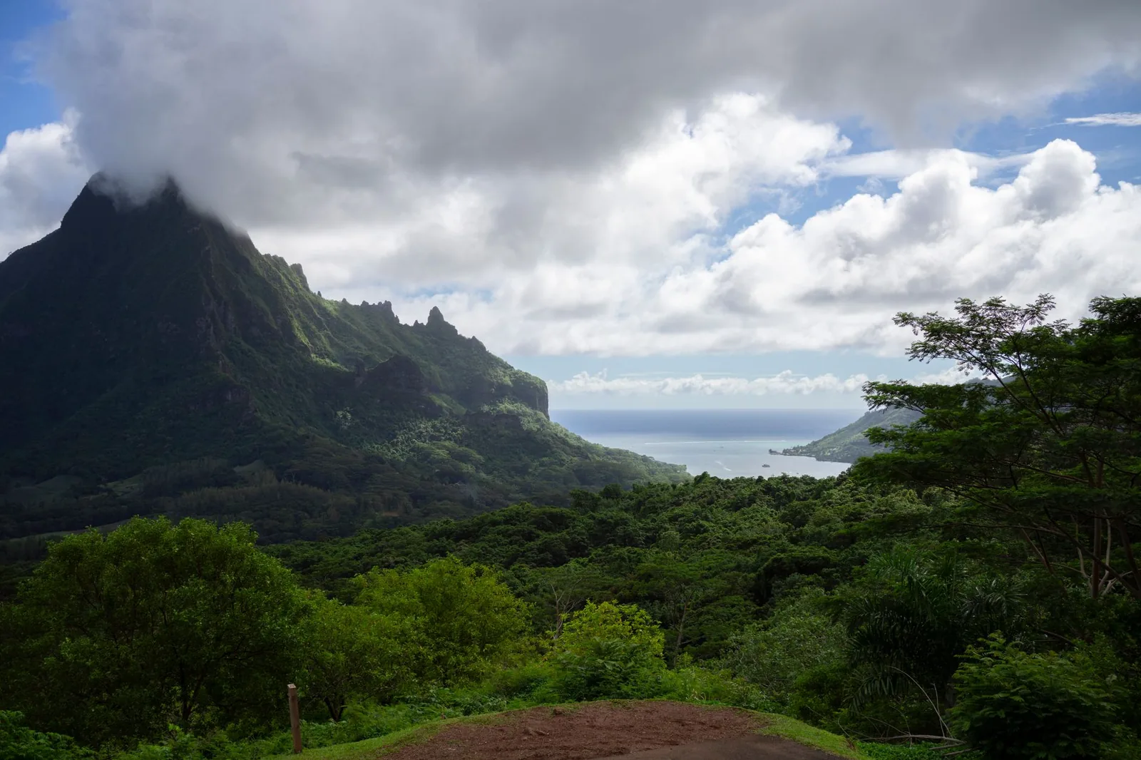 Vallée et littoral de Moorea, Polynésie française, vus depuis les hauteurs