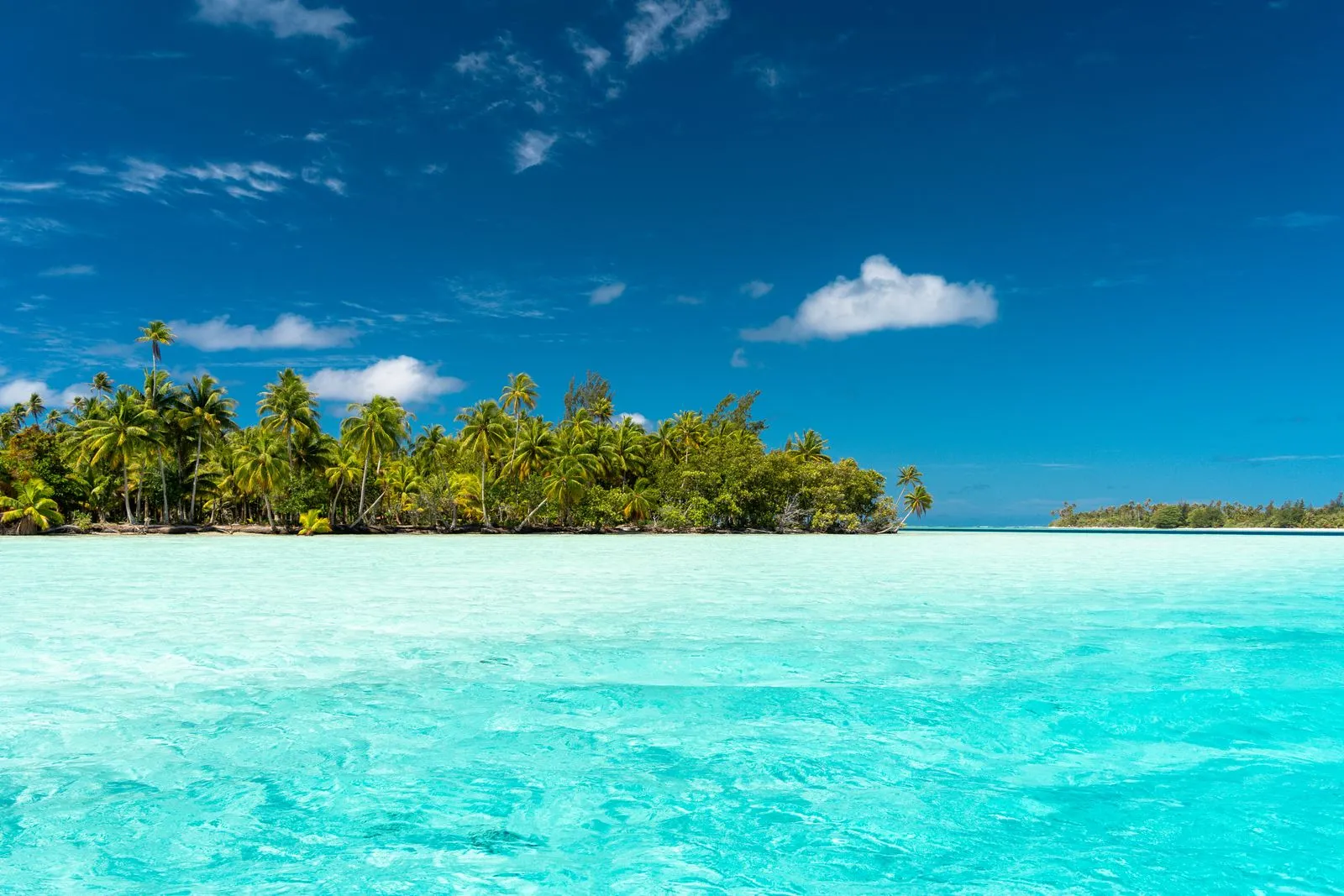 Motu bordé de cocotiers et lagon turquoise aux Îles Sous-le-Vent, Polynésie française