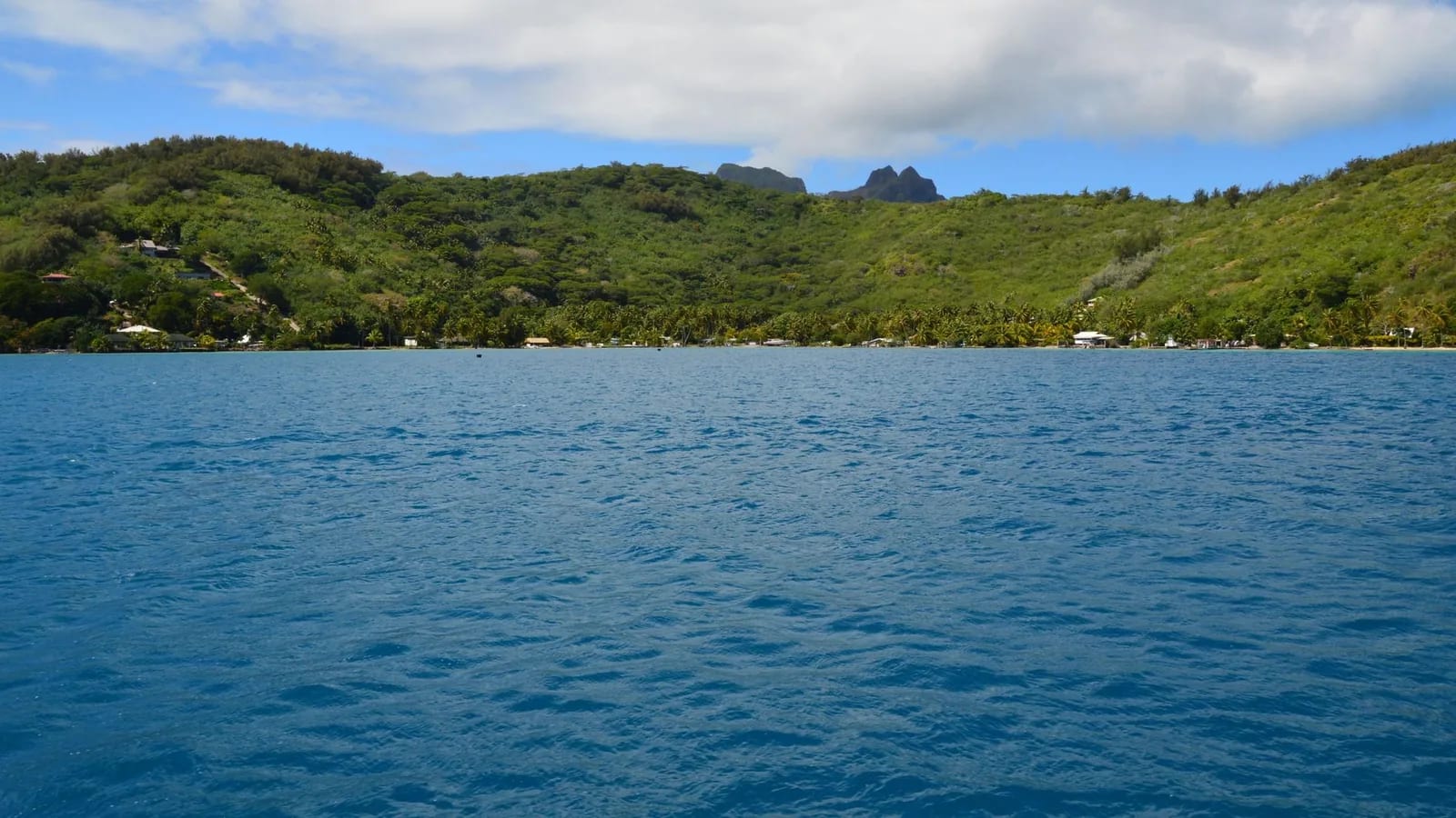 Eau bleue calme au pied de collines vertes couvertes de forêt, dans les Îles Sous-le-Vent