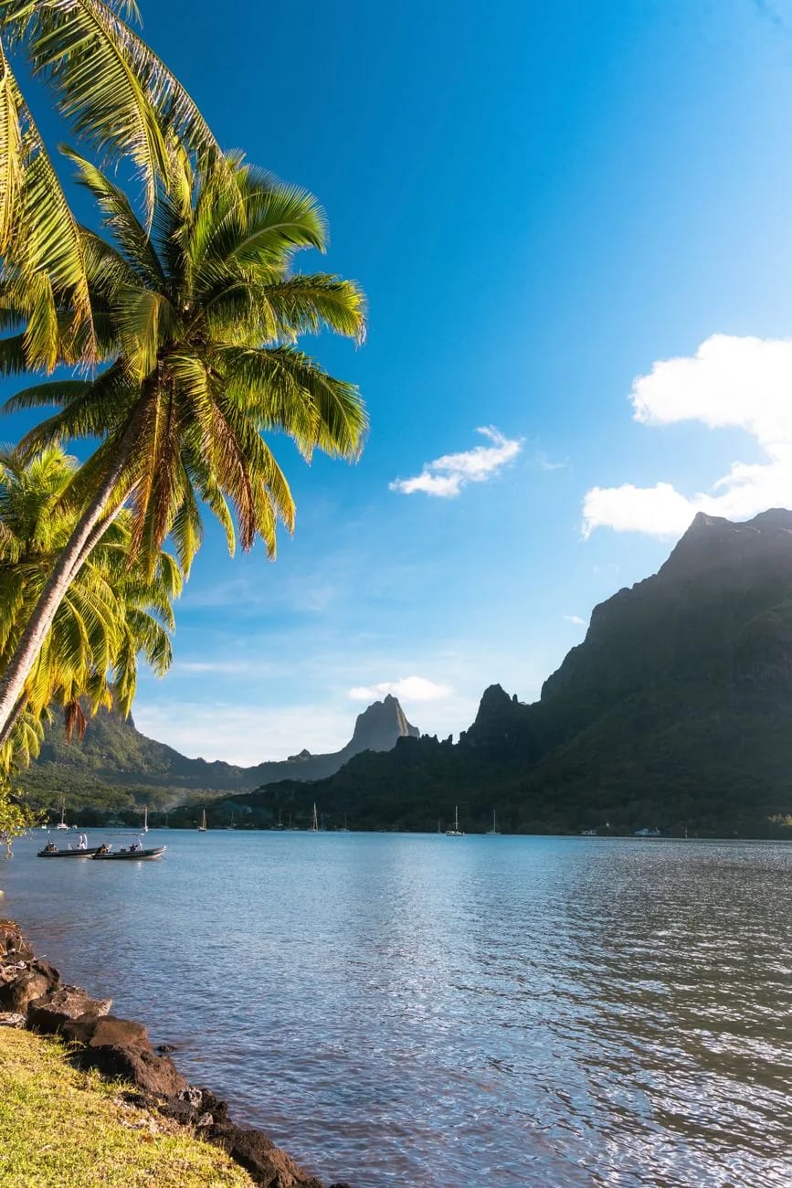 La baie de Cook à Moorea, ses voiliers au mouillage et les pics volcaniques en arrière-plan