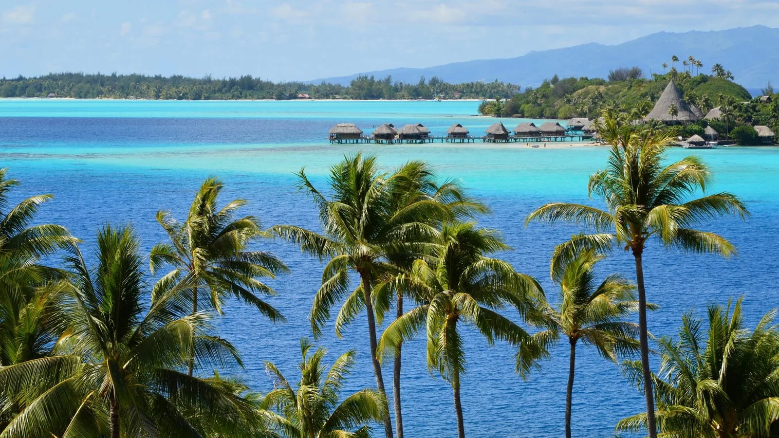 Cocotiers et bungalows au bord d'un lagon de Polynésie française