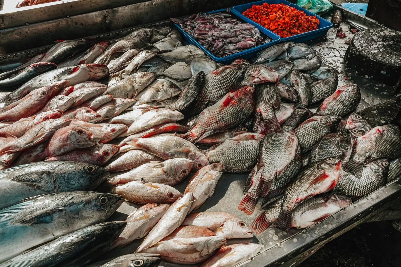 Étal de marché couvert de poissons de récif, vivaneaux et poissons de lagon rangés sur la glace