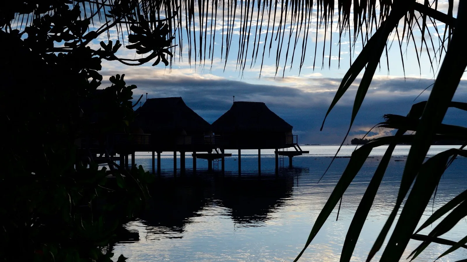 Bungalows sur pilotis en silhouette au bord du lagon de Moorea, vus à travers des palmes, en Polynésie française