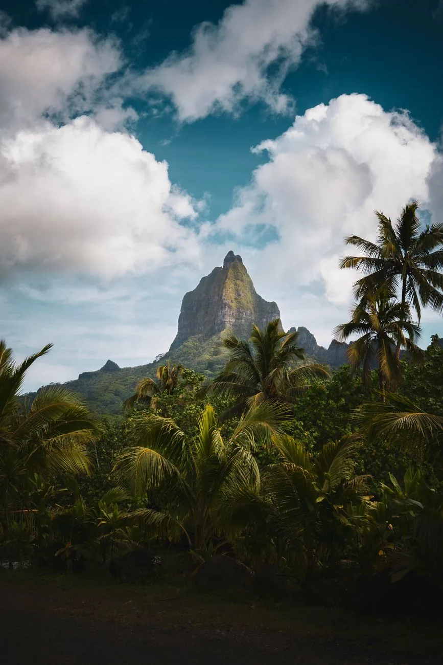 Pic volcanique et palmiers de Moorea, en Polynésie française