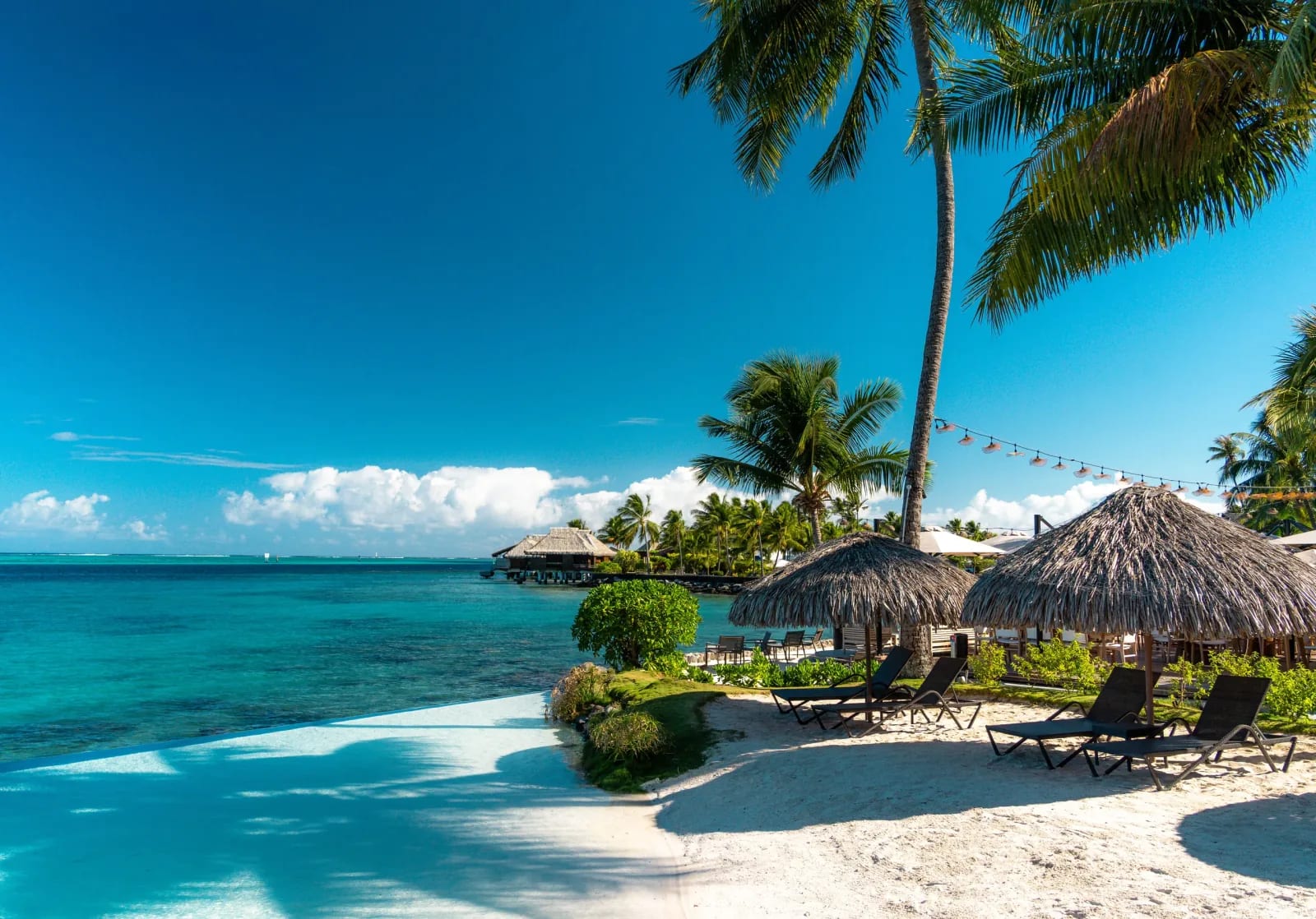 Lagon et cocotiers à Tahiti, Polynésie française