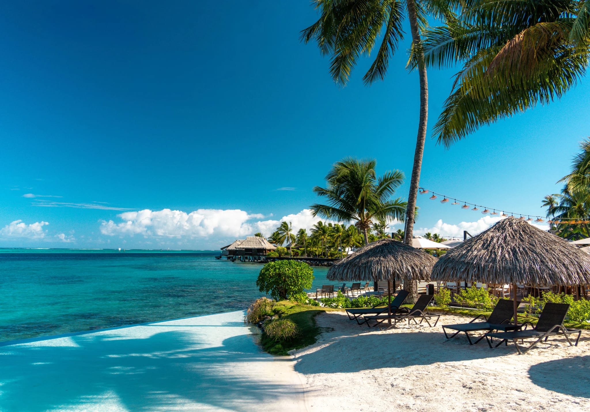 Plage de sable clair et lagon turquoise bordé de cocotiers à Tahiti