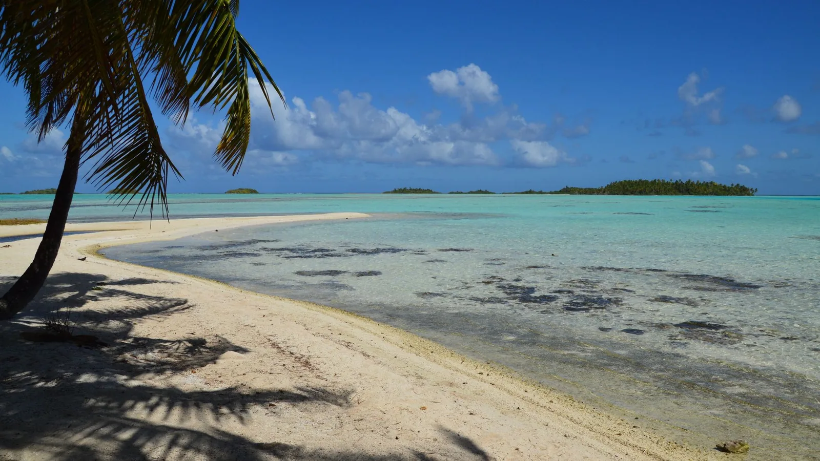 Plage de sable blanc ombragée par un cocotier, lagon turquoise et motu à l'horizon, en Polynésie française