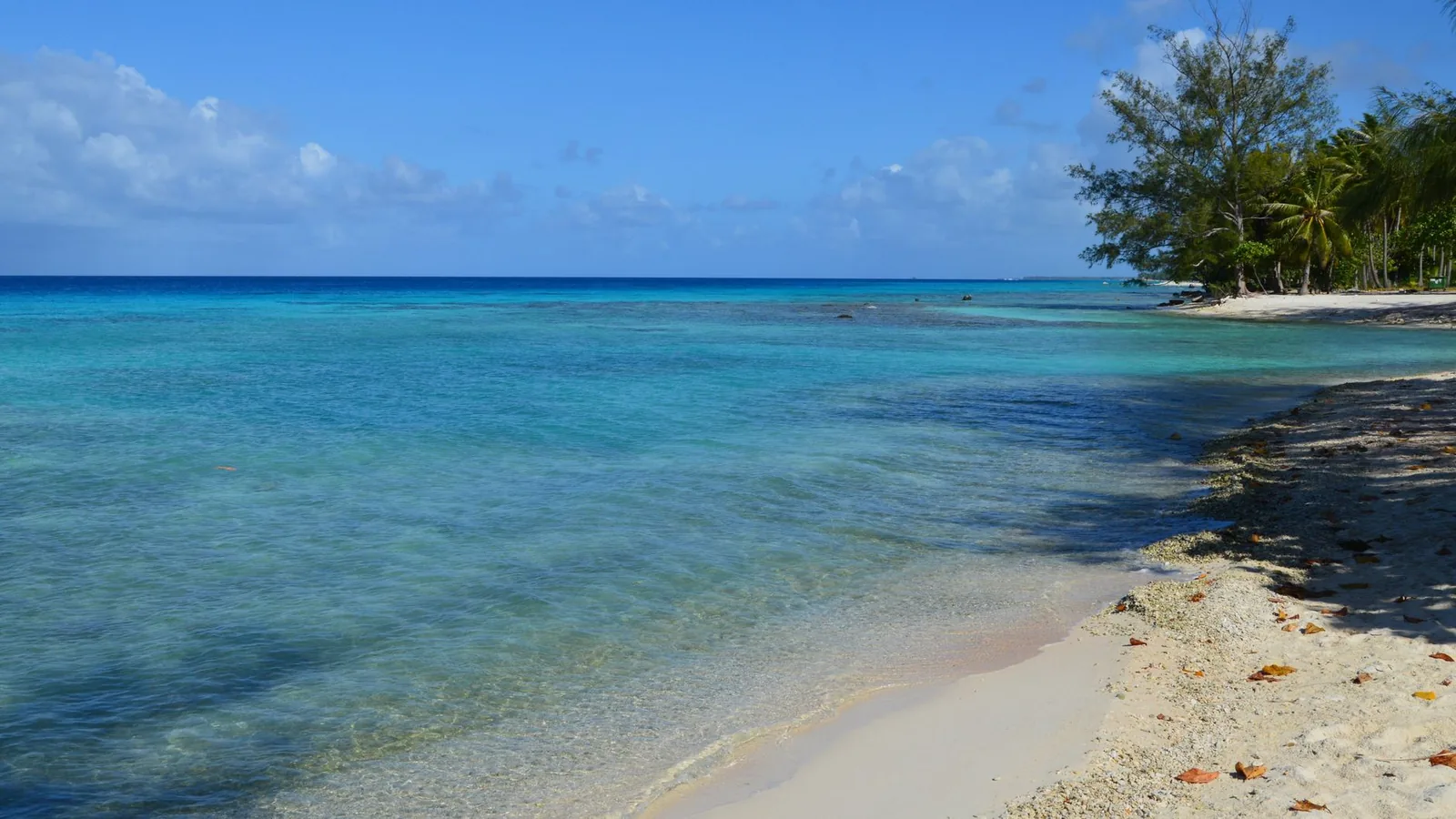 Plage de sable clair et lagon turquoise calme bordé de végétation, en Polynésie française