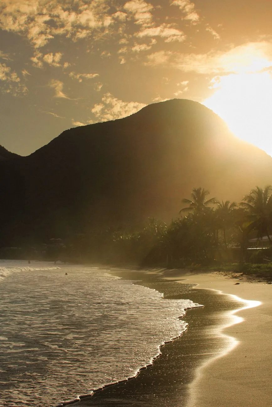 Plage de sable noir et cocotiers au pied des montagnes, Tahiti