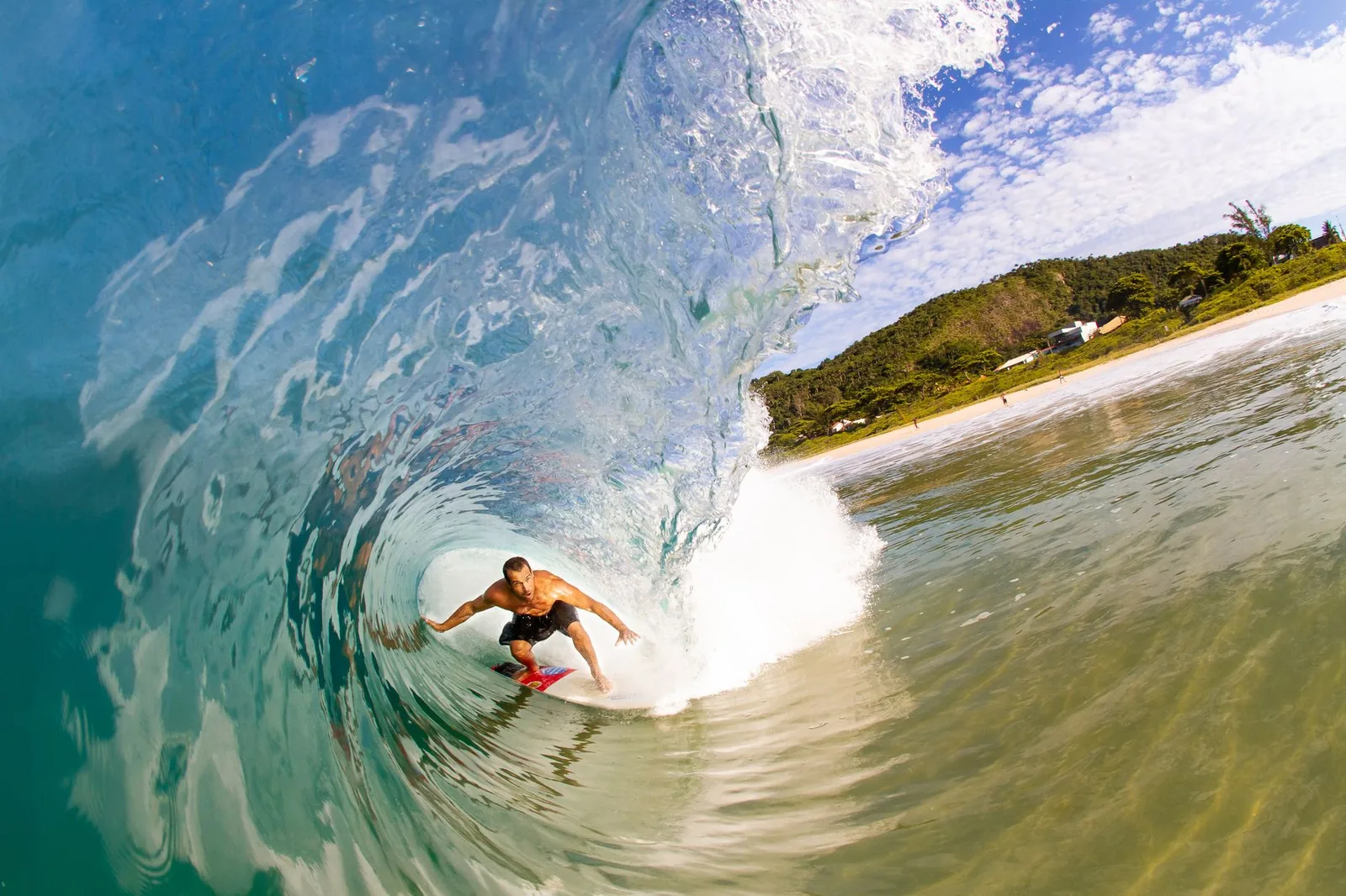 Surfeur dans le tube d'une vague de récif
