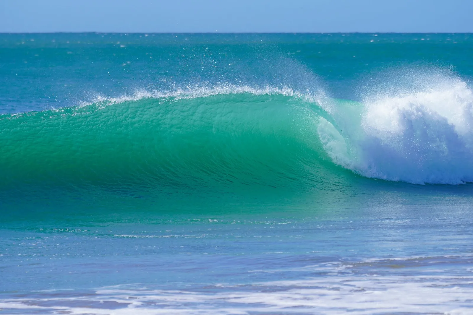 Vague qui se creuse et déferle sur une eau turquoise